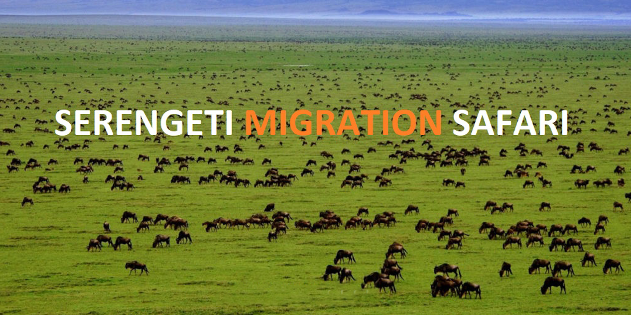 The Best 4-Days Serengeti Migration Safari from Zanzibar 